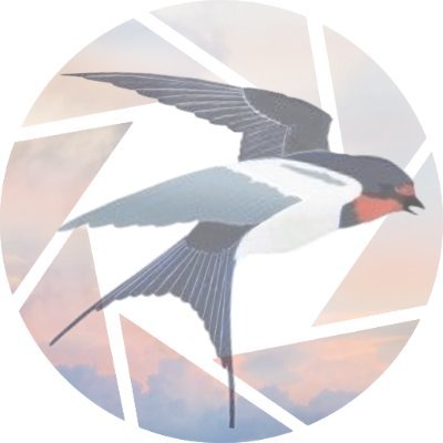 marutsubameさんのプロフィール画像