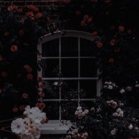 بسمه الغامدي❤️ (@b_ghrm652) Twitter profile photo