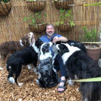 Prof Darren Grocke (@grockesibl) 's Twitter Profile Photo Prof Darren Grocke (@grockesibl) 's Twitter Profile Photo