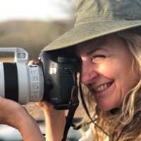 Pam Voth (@pamvoth) 's Twitter Profile