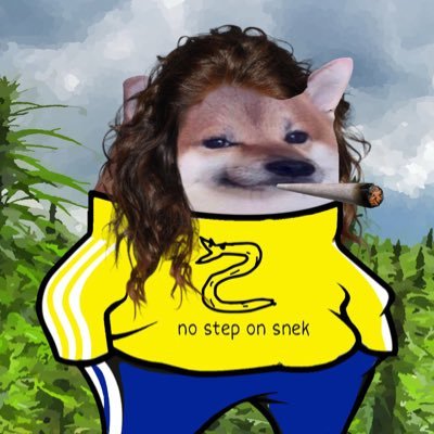 SteppyNafo Profile Picture