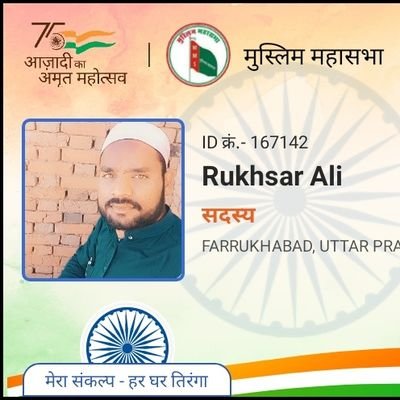 ali9636's profile picture. 