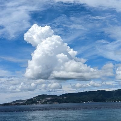 モデルYの予約を機に別アカ作りました。よろしくお願いしまーす。
無言フォロー失礼します。
RWD黒黒20インチ