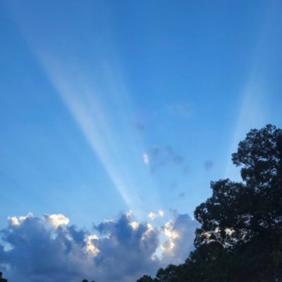 bundleofgems's profile picture. all about the gems