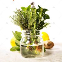 herbal_uae(@herbal_uae) 's Twitter Profile Photo