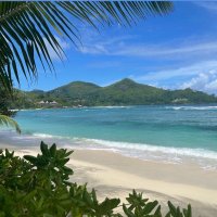 Prof. Mona Soliman (@monaslmn) 's Twitter Profile Photo