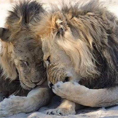 Gelvin043833551's profile picture. 