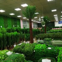 Asad Mabrok (@mabrokasad) Twitter profile photo