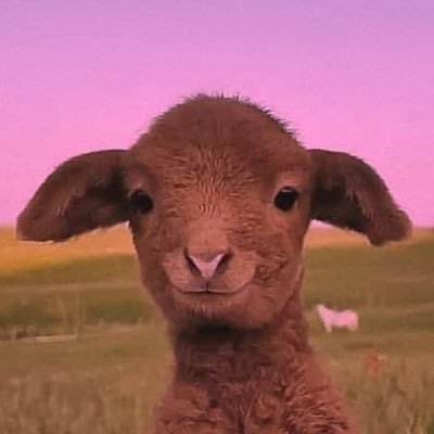 lwnfrd's profile picture. all the things that could go wrong~