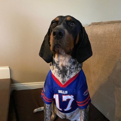 We finally know.
It was #BillsMafia.
They let the dogs out.

Share your photos and tag #BillsPawfia

NFL season is here....now.....RELEASE THE HOUNDS!