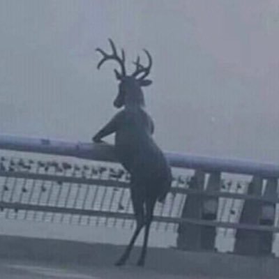 LysTzy's profile picture. 