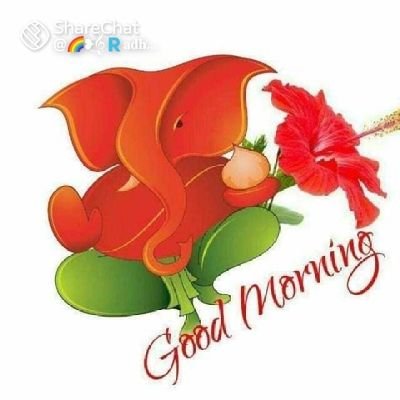 basutimalsina's profile picture. Department of the presidents Affairs Abudhabi,