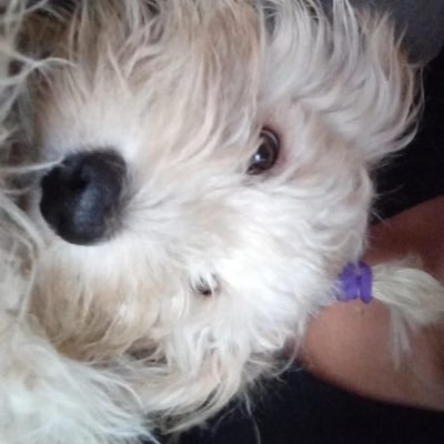 it2seok's profile picture. ㅤㅤ333 jinnie ♥︎ hobi 🔭 a/dela/a