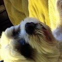 Patrick Schouten - @pschouten1701 - Twitter