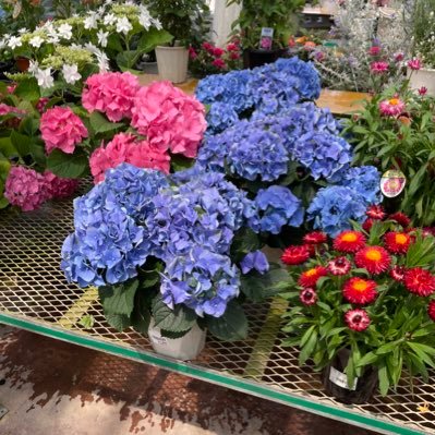 zutto_8025's profile picture. niigata nagaoka 初めてなので、皆さんよろしくお願いします⭐️最近、気になることや1日の出来事でよかったことなど、話したいです😉💫フォローお願いします😊💕