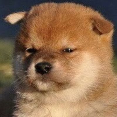 니를죽일끼다 (전사 외길 30년)さんのプロフィール画像
