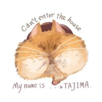 たじま (@tajima030) 's Twitter Profile Photo