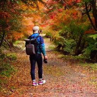 おっち (@osrx98) 's Twitter Profile