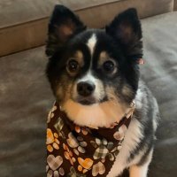 scot813 (@scot8133) 's Twitter Profile