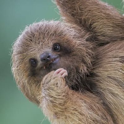 yumi91292812's profile picture. SixTONES❤️WEST💚TJ❤️EN-🐈‍⬛1or8💙🦖／お笑い、ダンス、読書、旅行も好きです。