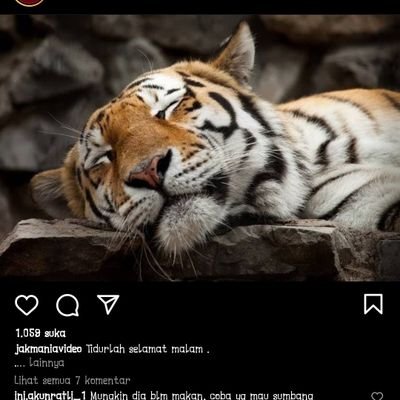 baykedebrug's profile picture. 