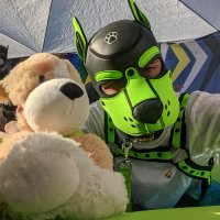 PupWrafie@queer.party (@pupwrafie) 's Twitter Profile Photo PupWrafie@queer.party (@pupwrafie) 's Twitter Profile Photo