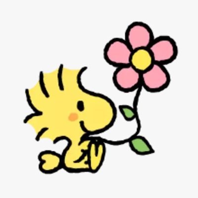 nachomsky73's profile picture. 