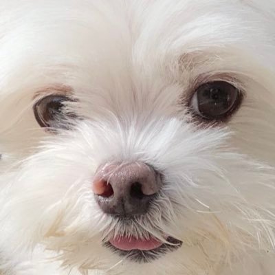 yyyyh090921's profile picture. ㅎㅅㅎ