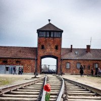 @muratnb (@muratnb) 's Twitter Profile