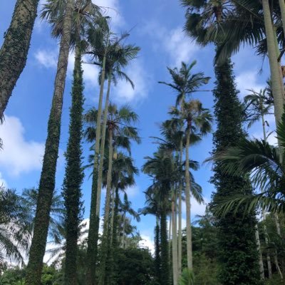 Nanadk_exit's profile picture. EXIT🐊♡🦄EXITを知って楽しみが増えました♡♡自分のペースでこれからも応援していきます(^^)