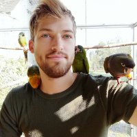 Andreas Absenger (@absengerandreas) 's Twitter Profile