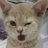 Jojos42739128's profile image