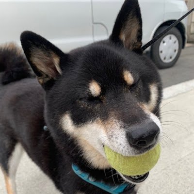 旅とビールとアーセナルが好きなドイツ帰りのオッさんです。犬と電気グルーヴも大好き。