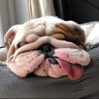 Jason Melling (@jrm0071) 's Twitter Profile