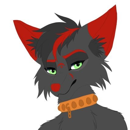 FoxionCalester's profile picture. male 34 years old. so yeah it is an 18+ account.