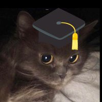 Raghad (@raghad99z) 's Twitter Profile