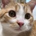 Nona.U (@tym_ykl) Twitter profile photo Nona.U (@tym_ykl) Twitter profile photo