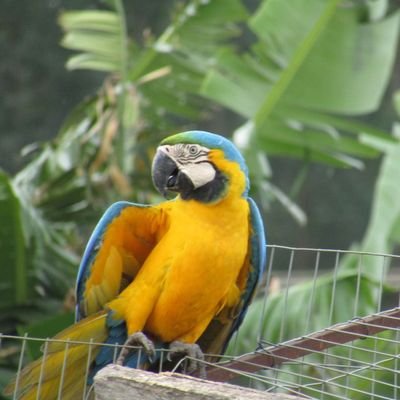 SpindlerCarina's profile picture. 