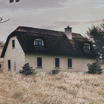 연뮤덕
호프📖/관부연락선🚢/해적🏴‍☠️/V에버애프터🧛‍♀️/리지🪓/브론테🪶