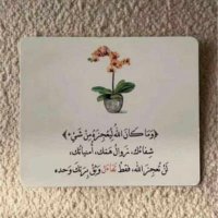 ام أنس (@umanas_33) 's Twitter Profile Photo ام أنس (@umanas_33) 's Twitter Profile Photo