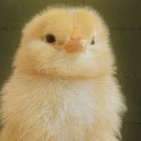 justice (@justice_ec) Twitter profile photo