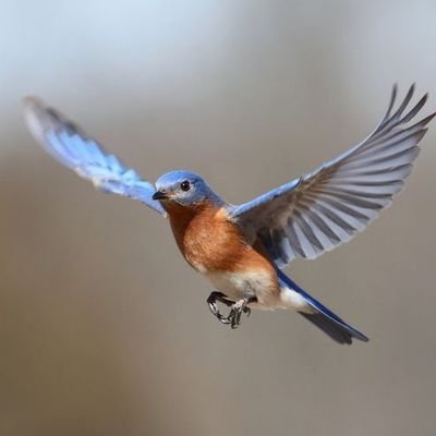 Kendi İşlemlerim ve Analizlerimdir. Hiç Biri Yatırım Tavsiyesi Değildir.