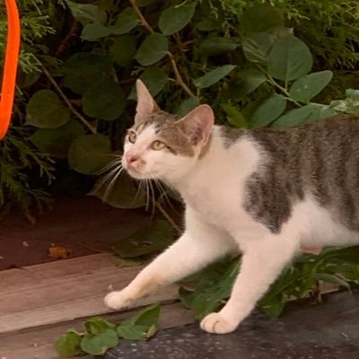 inward_lipbass's profile picture. 9/4 BXF大阪 🐙 1/28 JPNCUP 🐲IROHANIHOHETO🐵🦀 AREA:SRKN