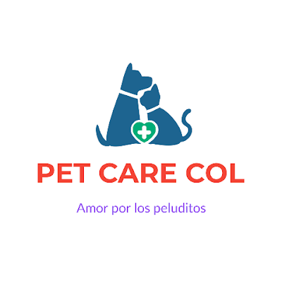 Alternativas para hacer felices a nuestras mascotas, para cuidar su salud física y mental 😻🐕

https://t.co/uxVx6cr4J9