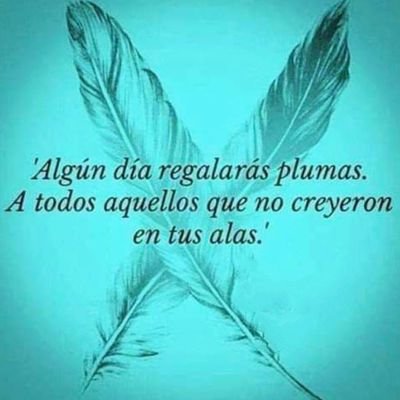 Hacedora de caminos.
Quiero y defiendo una sociedad inclusiva. 
🍀💚 Coach de vida
📗Autora de 1 libro

@RevoltaEducativ
#DDHH #inclusivity #equity #empaty