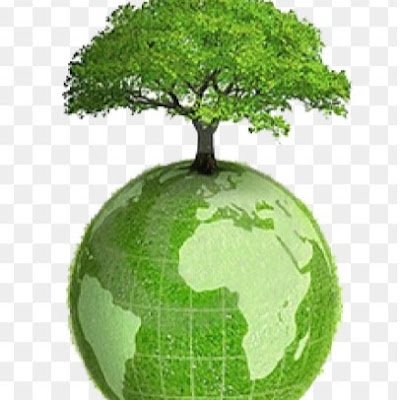 🌳Medioambiente es todo lo que nos rodea
🌍Todo sucede en algún lugar 
💚Solo se quiere aquello que se conoce