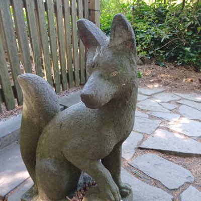 papichulo0312's profile picture. 