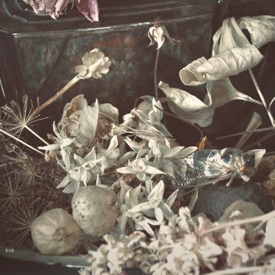 alicekblue's profile picture. The only way to deal with an unfree world is to become so absolutely free that your very existence is an act of rebellion. -Albert Camus