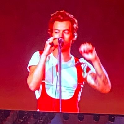 HarrysSideYard's profile picture. 18+ harry boyfriend to @grapejuicerry