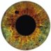 Carpe’ Axiom (@eye_seeeee) Twitter profile photo Carpe’ Axiom (@eye_seeeee) Twitter profile photo